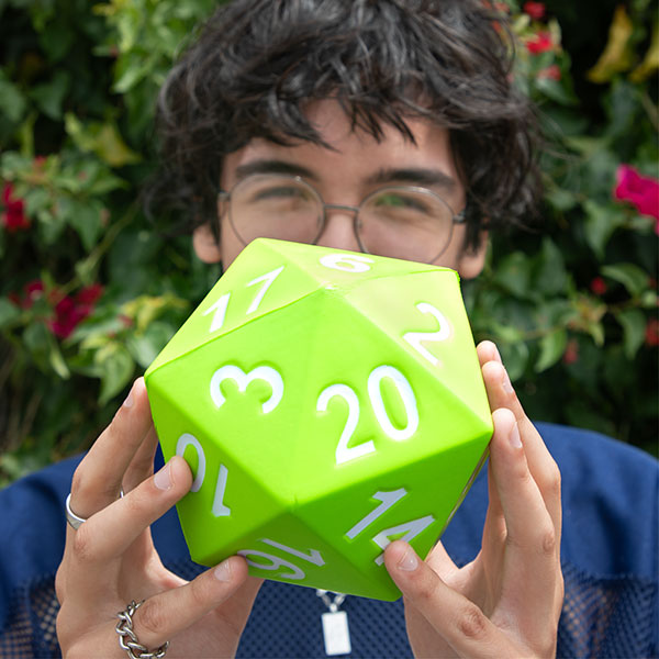 Foam Dice: Giant Dice- D20 Assortment- Periwinkle/Purple/Green/Pink