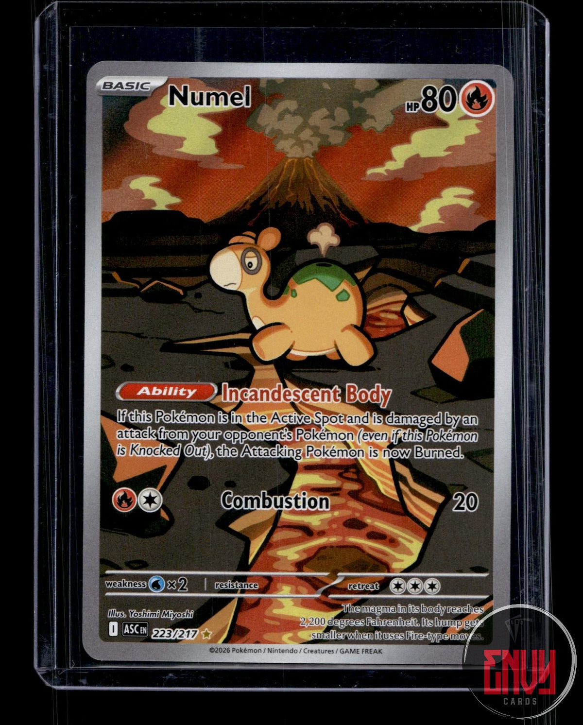 Numel NM 223/217 IR Ascended Heroes Pokemon Holo